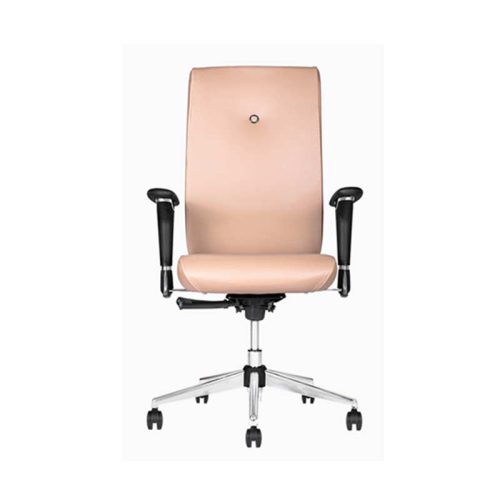 صندلی کارمندی نیلپر MOCM810,صندلی کارشناسی,صندلی اداری,صندلی ارگونومیک